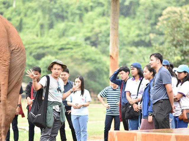 นิสิตคณะนิติศาสตร์ร่วมกันจัดโครงการ,สายใยรักนักกฎหมายอนุรักษ์ธรรมชาติเพื่อช้างไทย