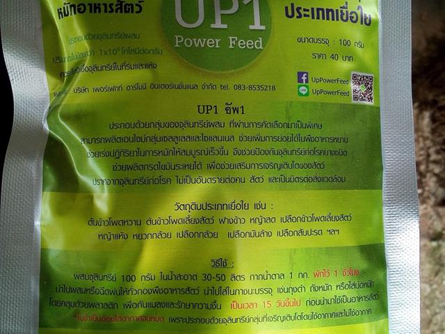 รศ.ดร.โชค,โสรัจกุล,หัวหน้าทีมวิจัย,คณะเกษตรศาสตร์และทรัพยากรธรรมชาติ,ม.พะเยา,ร่วมสรุปประเด็นสำคัญของนวัตกรรมที่ใช้ในฟาร์มและเกิดผลลัพธ์เป็นที่ประจักษ์,การเลี้ยงโคขุนต้นทุนต่ำด้วยการนำวัสดุการเกษตรในพื้นที่