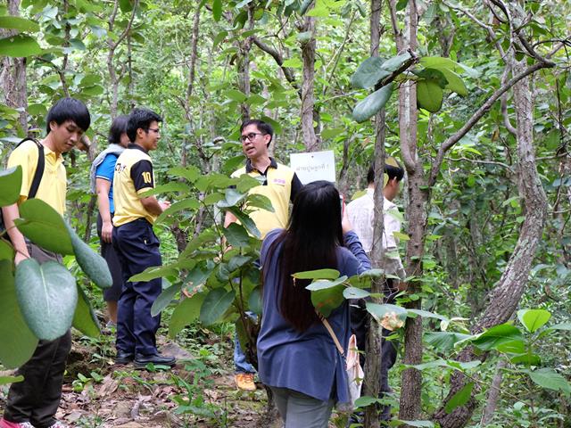 กิจกรรม,ชม,ช่วย,เชียร์,คณะเทคโนโลยีสารสนเทศและการสื่อสาร