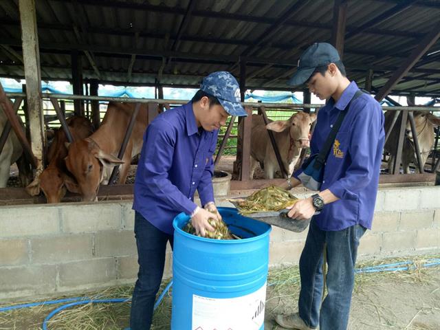 คณะเกษตรศาสตร์และทรัพยากรธรรมชาติ,ม.พะเยา,บูรณาการทำงานร่วมกับสำนักงานปศุสัตว์จังหวัดพะเยา,ออกพื้นที่อบรมเชิงปฏิบัติการการเพิ่มจำนวนโคเนื้อคุณภาพ,และแก้ไขปัญหาการผสมติดให้แก่เกษตรกร