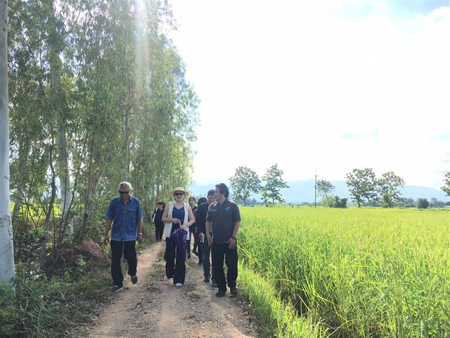 เมื่อวันที่,17,ตุลาคม,2562,ที่ผ่านมา,กองบริหารงานวิจัย,พร้อมด้วยคณะกรรมการ,(MAI),ติดตามความก้าวหน้าโครงการ,1,คณะ,1,Signature,ประจำปีงบประมาณ,2562,ชื่อโมเดล,“เกษตรปลอดภัยแม่ใจ,Smart,Farmer”,