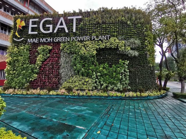 นักศึกษา,ป.โท,SEEN,เรียนรู้จากทำงานจริงกับ,กฟผ.