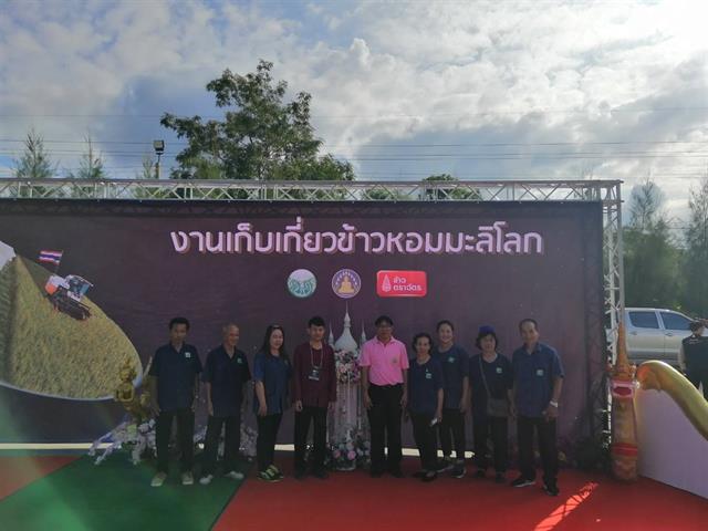 คณะเกษตรศาสตร์และทรัพยากรธรรมชาติ ม.พะเยา เข้าร่วมงาน " วันเก็บเกี่ยวข้าวหอมมะลิโลก อ.ดอกคำใต้ จ.พะเยา "