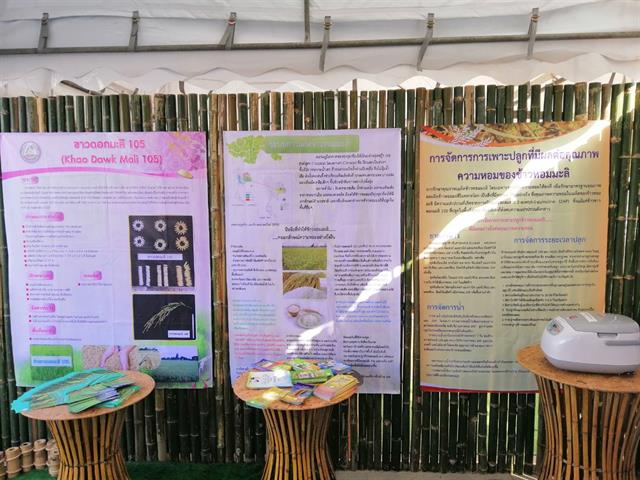 คณะเกษตรศาสตร์และทรัพยากรธรรมชาติ ม.พะเยา เข้าร่วมงาน " วันเก็บเกี่ยวข้าวหอมมะลิโลก อ.ดอกคำใต้ จ.พะเยา "