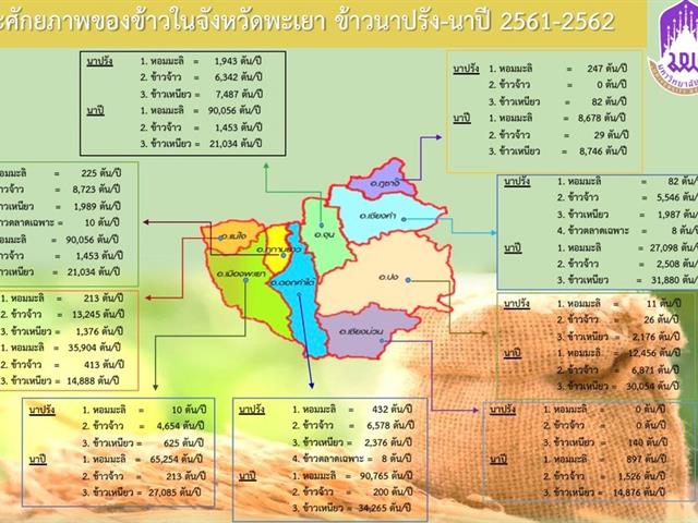 นักวิจัยคณะวิทยาการจัดการและสารสนเทศศาสตร์_ข้าวหอมมะลิ
