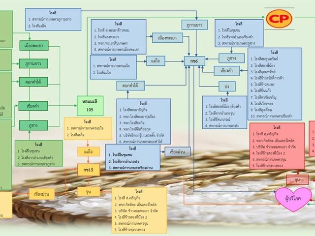 นักวิจัยคณะวิทยาการจัดการและสารสนเทศศาสตร์_ข้าวหอมมะลิ