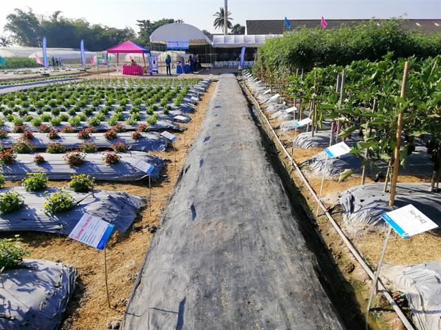 คณะเกษตรศาสตร์และทรัพยากรธรรมชาติ ม.พะเยา เข้าเยี่ยมชมงานฟิวเดย์ ณ สถานีวิจัยพันธุ์พืชหางดง