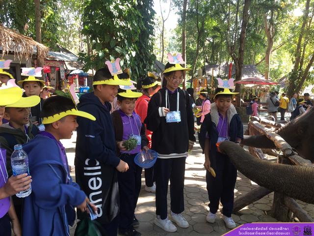 โรงเรียนสาธิตมหาวิทยาลัยพะเยาฝ่ายประถมศึกษา