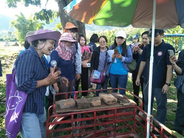 เมืองโบราณเวียงลอ