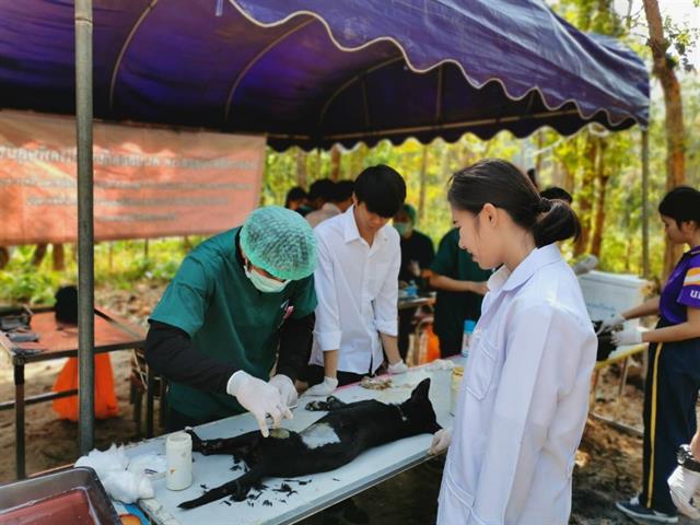 คณะเกษตรศาสตร์และทรัพยากรธรรมชาติ ม.พะเยา เข้าร่วมโครงการสัตว์ปลอดโรค คนปลอดภัยจากโรคพิษสุขัขบ้า