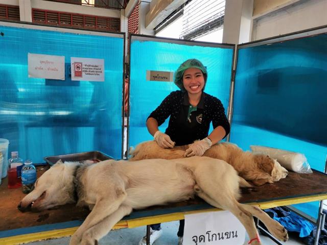 คณะเกษตรศาสตร์และทรัพยากรธรรมชาติ ม.พะเยา เข้าร่วมกิจกรรม "การปฏิบัติงานหน่วยแพทย์เคลื่อนที่ พอ.สว. (ด้านปศุสัตว์และสัตวแพทย์)"