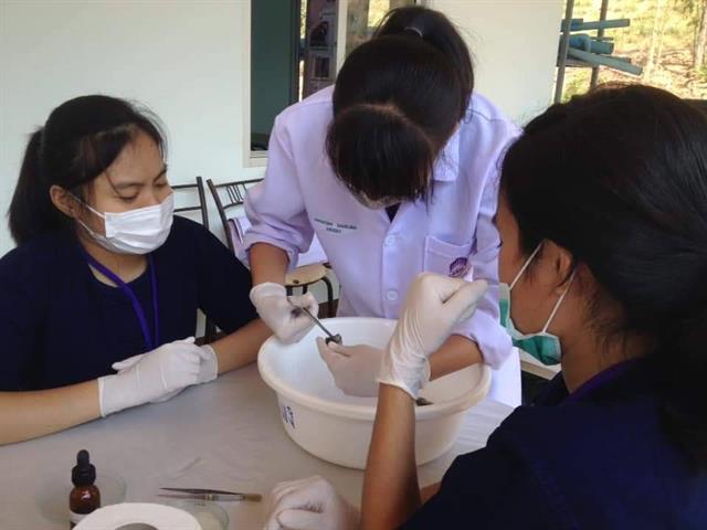 โรงเรียนสาธิตมหาวิทยาลัยพะเยา