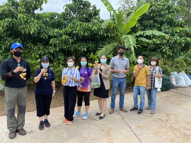 มพ. ปล่อยอึ่งเพ้า คืนสู่ธรรมชาติ พร้อมอนุรักษ์และส่งเสริมการแพร่พันธุ์ของอึ่งเพ้าในพื้นที่ ชุ่มน้ำ รอบมหาวิทยาลัยและชุมชน
