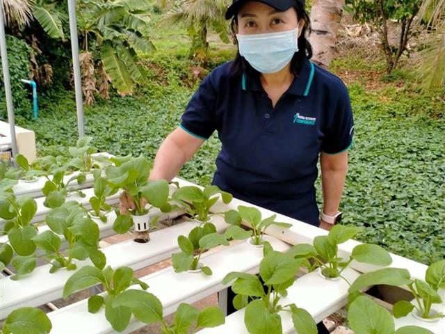 มพ. ปล่อยอึ่งเพ้า คืนสู่ธรรมชาติ พร้อมอนุรักษ์และส่งเสริมการแพร่พันธุ์ของอึ่งเพ้าในพื้นที่ ชุ่มน้ำ รอบมหาวิทยาลัยและชุมชน