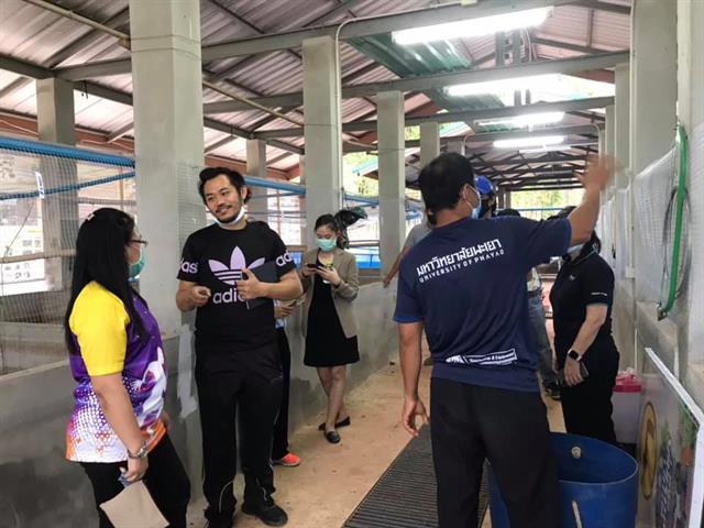 มพ. ปล่อยอึ่งเพ้า คืนสู่ธรรมชาติ พร้อมอนุรักษ์และส่งเสริมการแพร่พันธุ์ของอึ่งเพ้าในพื้นที่ ชุ่มน้ำ รอบมหาวิทยาลัยและชุมชน