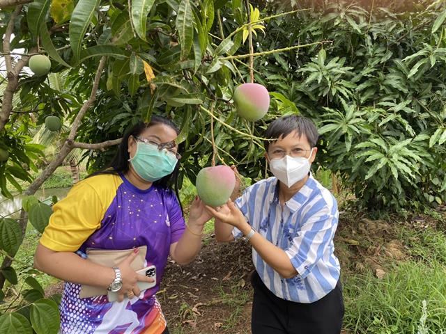 มพ. ปล่อยอึ่งเพ้า คืนสู่ธรรมชาติ พร้อมอนุรักษ์และส่งเสริมการแพร่พันธุ์ของอึ่งเพ้าในพื้นที่ ชุ่มน้ำ รอบมหาวิทยาลัยและชุมชน