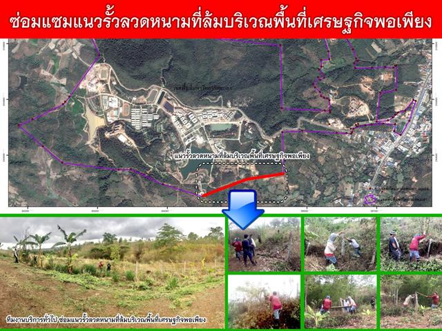 มพ. ปล่อยอึ่งเพ้า คืนสู่ธรรมชาติ พร้อมอนุรักษ์และส่งเสริมการแพร่พันธุ์ของอึ่งเพ้าในพื้นที่ ชุ่มน้ำ รอบมหาวิทยาลัยและชุมชน