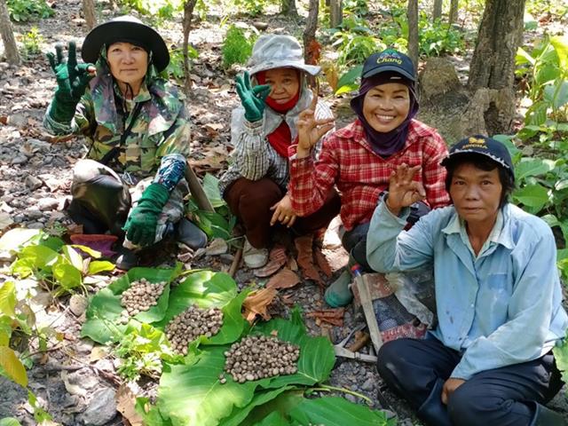 อธิการบดีมหาวิทยาลัยพะเยา นำทีมสำรวจป่าศึกษาธรรมชาติ  เรียนรู้คู่ชุมชน อนาคตสร้างสวนศึกษาพันธุ์ไม้และสมุนไพร