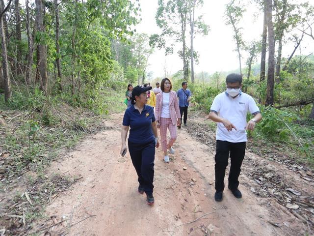 อธิการบดีมหาวิทยาลัยพะเยา นำทีมสำรวจป่าศึกษาธรรมชาติ  เรียนรู้คู่ชุมชน อนาคตสร้างสวนศึกษาพันธุ์ไม้และสมุนไพร