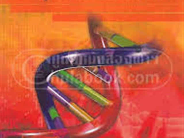 หนังสือใหม่ ฉบับภาษาไทย