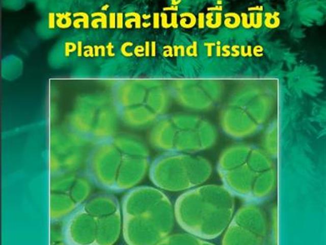 หนังสือใหม่ ฉบับภาษาไทย