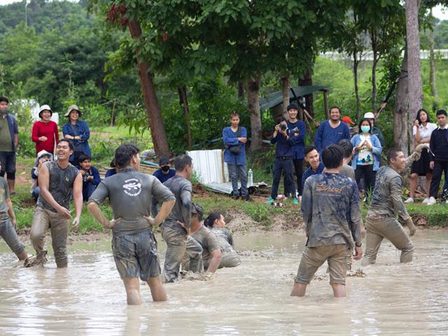 ปลูกข้าววันแม่  สืบสานข้าวไทยด้วยการดำนา