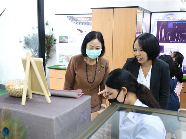 เปิดแล้ว “นิทรรศการนกยูงไทยแห่งล้านนาตะวันออก” โครงการล้านนาตะวันออก 