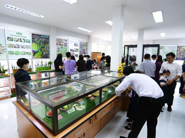 เปิดแล้ว “นิทรรศการนกยูงไทยแห่งล้านนาตะวันออก” โครงการล้านนาตะวันออก 