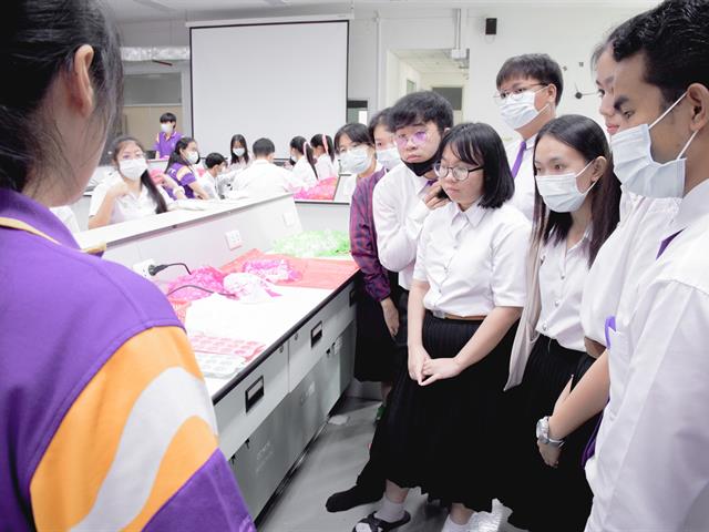 ตุงไส้หมูไล่ยุง