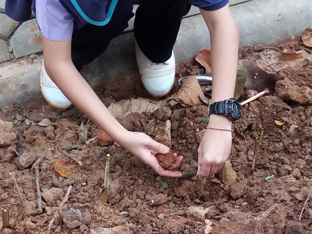 คณะวิทยาศาสตร์ มหาวิทยาลัยพะเยา