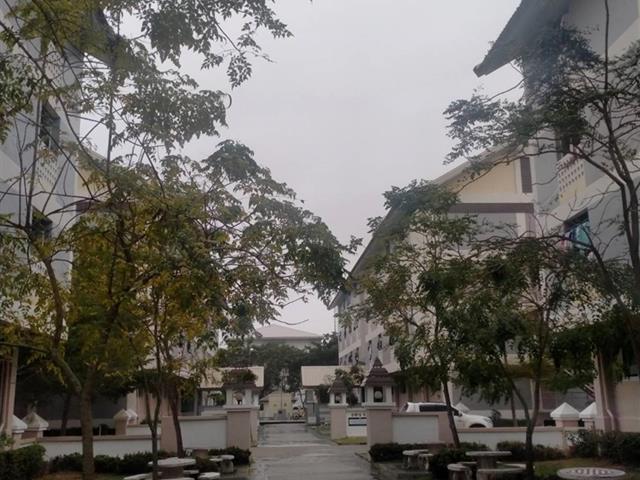 มหาวิิทยาลัยพะเยา
