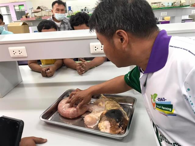 คณะเกษตรศาสตร์และทรัพยากรธรรมชาติ มหาวิทยาลัยพะเยา จัดโครงการบริการวิชาการ " เทคนิคการผสมเทียมและการเหนี่ยวนำการเป็นสัด เพื่อเพิ่มศักยภาพการผลิตในโค กระบือ "