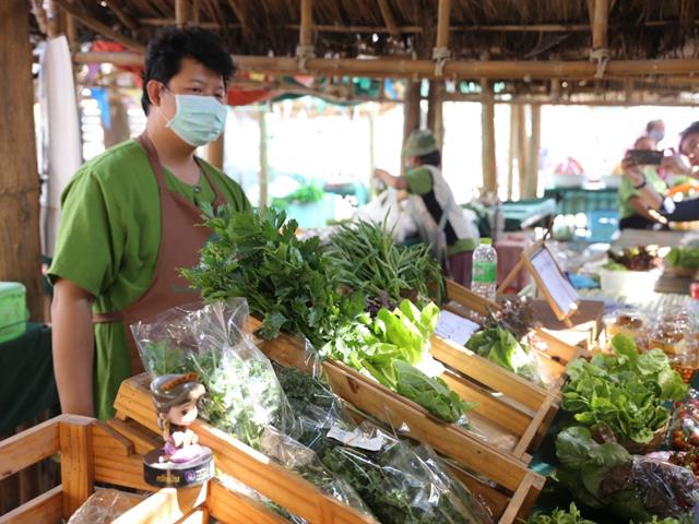 มหาวิทยาลัยพะเยา