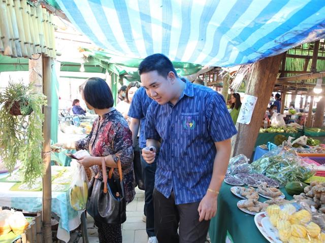 มหาวิทยาลัยพะเยา