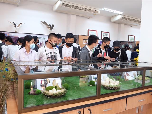 คณะวิทยาศาสตร์ มหาวิทยาลัยพะเยา