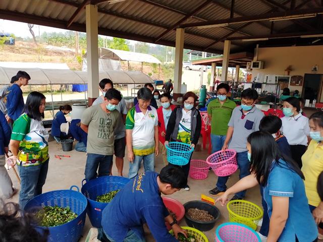 คณะเกษตรศาสตร์ฯ จัดโครงการบริการวิชาการ "การเพาะเห็ดเศรษฐกิจ"