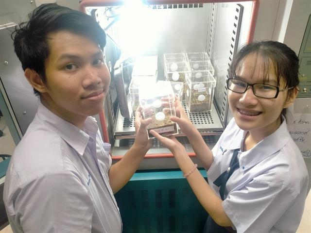 โครงการ ASIAN HERB IN SPACE ปลูกโหระพา สู่อวกาศ