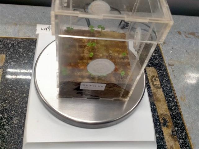 โครงการ ASIAN HERB IN SPACE ปลูกโหระพา สู่อวกาศ