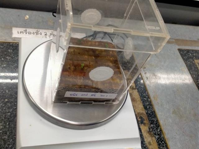 โครงการ ASIAN HERB IN SPACE ปลูกโหระพา สู่อวกาศ