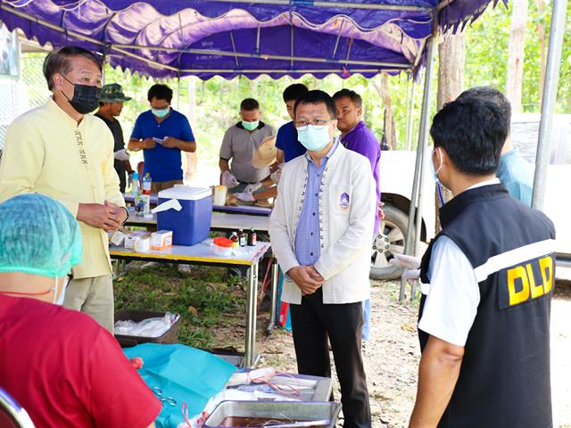 มหาวิทยาลัยพะเยา ร่วมกับ ปศุสัตว์จังหวัดพะเยา จัดระเบียบสุนัขจรจัด 