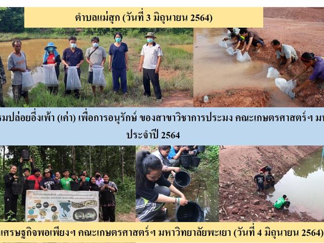 กิจกรรมการอนุรักษ์อึ่งเพ้า (เค่า) จังหวัดพะเยา โดยคณะเกษตรศาสตร์ฯ มหาวิทยาลัยพะเยา