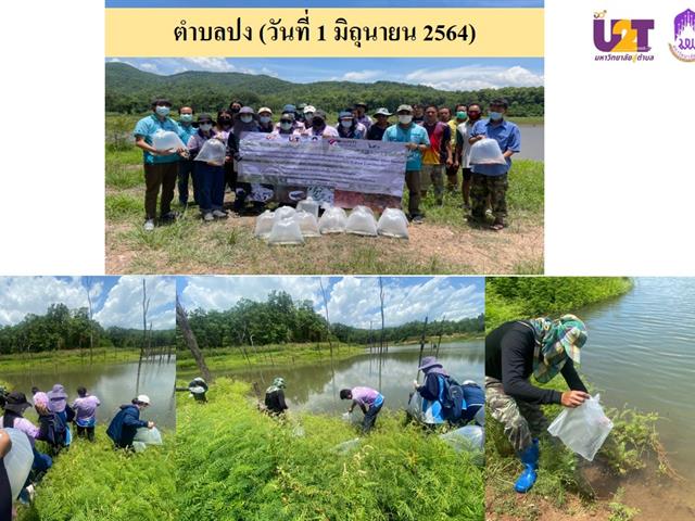 กิจกรรมการอนุรักษ์อึ่งเพ้า (เค่า) จังหวัดพะเยา โดยคณะเกษตรศาสตร์ฯ มหาวิทยาลัยพะเยา