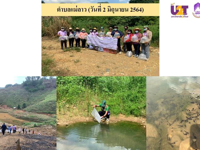 กิจกรรมการอนุรักษ์อึ่งเพ้า (เค่า) จังหวัดพะเยา โดยคณะเกษตรศาสตร์ฯ มหาวิทยาลัยพะเยา