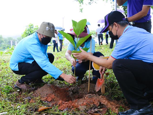โครงการนิสิตจิตอาสา มหาวิทยาลัยพะเยา ร่วมกิจกรรมปลูกต้นไม้เฉลิมพระเกียรติ สมเด็จพระบรมราชชนนีพันปีหลวง