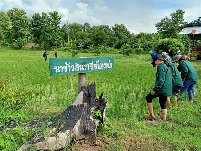 คณะเกษตรศาสตร์ฯ เข้าร่วมกิจกรรม "ส่งเสริมมรดกภูมิปัญญาทางวัฒนธรรมการเกษตรตามหลักปรัชญาของเศรษฐกิจพอเพียง"