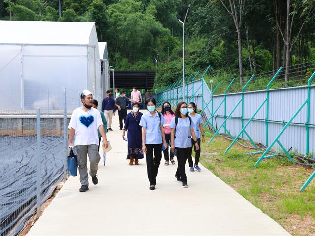 สำนักงานคณะกรรมการอาหารและยา ตรวจสอบมาตรฐาน โครงการผลิตกัญชา  เพื่อประโยชน์ทางการแพทย์ ฯ มหาวิทยาลัยพะเยา 