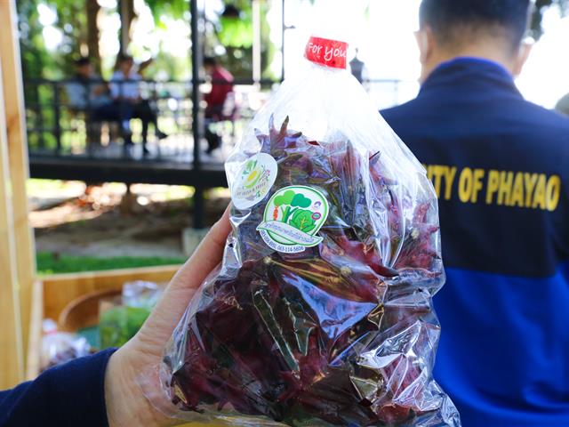 ตลาดสินค้าเกษตร Fresh and Fruit 