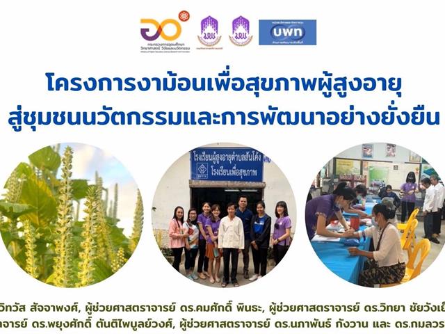 งาม้อน