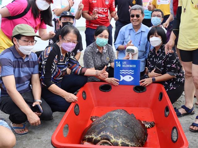 ม.พะเยา จัดกิจกรรม CSR ปล่อยสัตว์ทะเล  ‘From the mountains to the sea’ ศูนย์วิจัยและพัฒนาการเพาะเลี้ยงสัตว์น้ำชายฝั่งระยอง