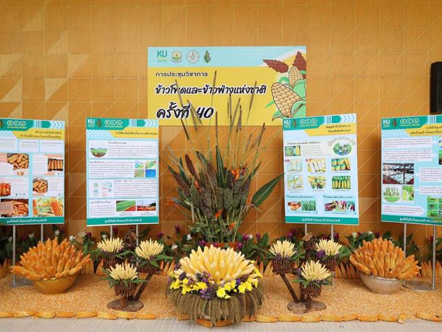 แจ้งเกิด !! พันธุ์ข้าวโพดใหม่ คณะเกษตรฯ ม.พะเยา จัดแปลงสาธิตแสดง ณ งานประชุมวิชาการข้าวโพดและข้าวฟ่างแห่งชาติ ครั้งที่ 40